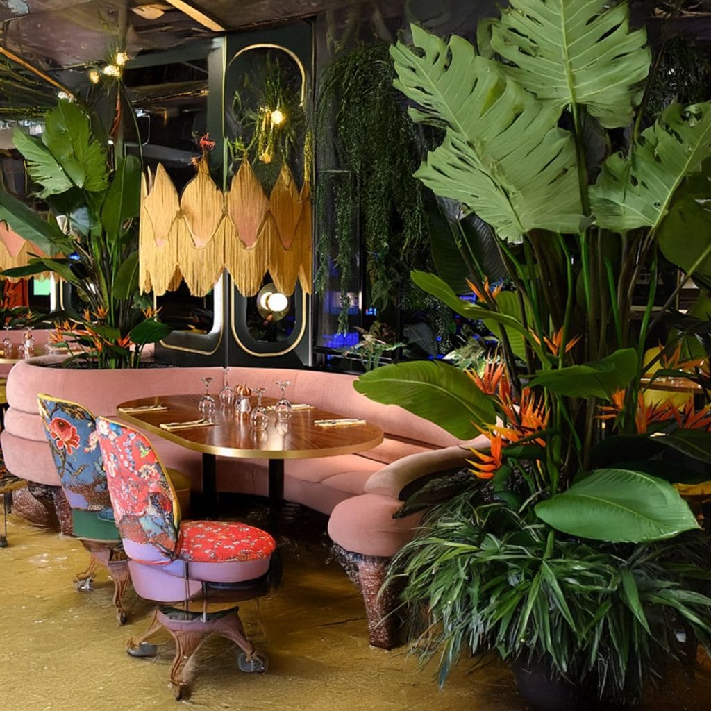 Grosvenor Casino The Barracuda 2 Grosvenor Casino: The Barracuda