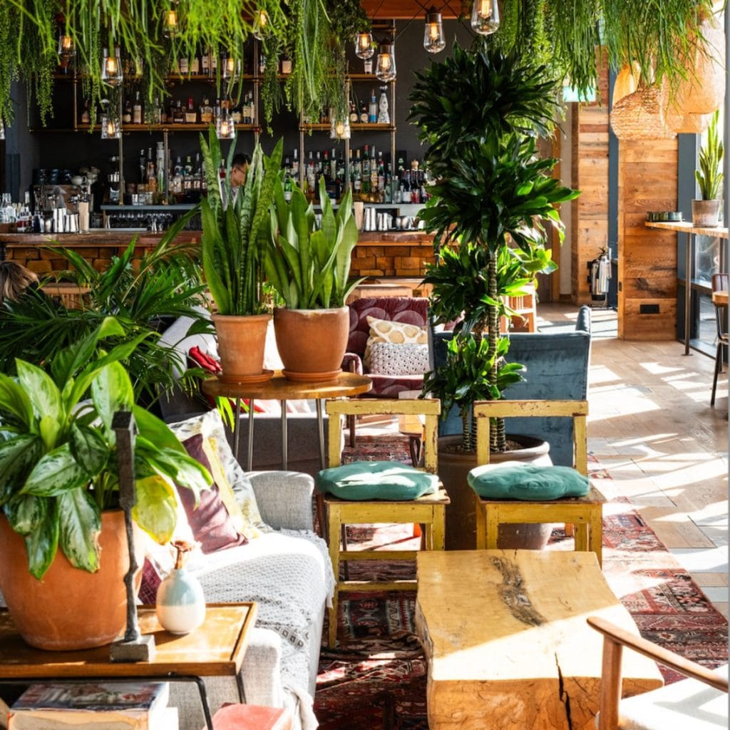 Madera at Treehouse London – A Sky-High Mexican Retreat in Marylebone