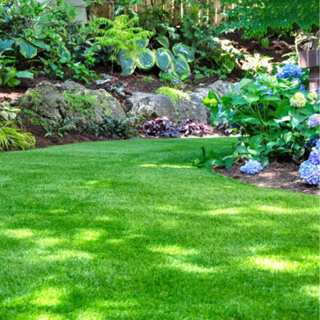 effortless garden, low-maintenance garden, self-sustaining plants